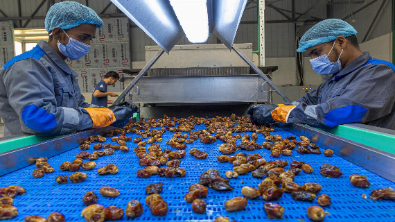 مصنع الفضل لتصنيع وتعليب التمور