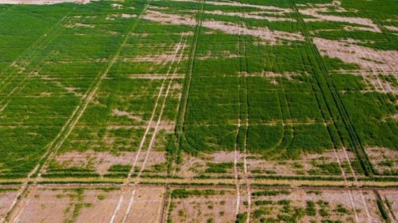 مزارع أنوار الساقي (عليه السلام)