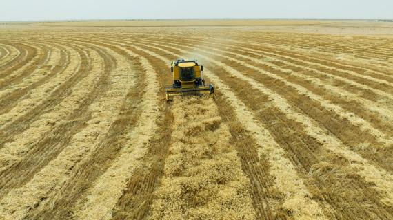 مشروع العوالي الزراعي