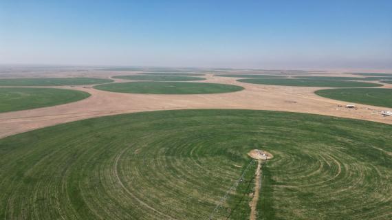 مشروع المعلّى الزراعي